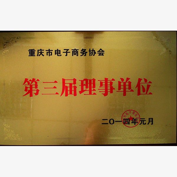 重庆市电子商务协会第三届理事单位