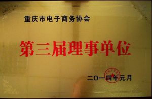 重庆市电子商务协会第三届理事单位
